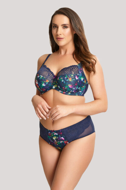 Panache Arianna Deep Briefs - Image 3