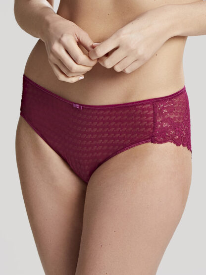 Panache Envy Briefs - Image 6