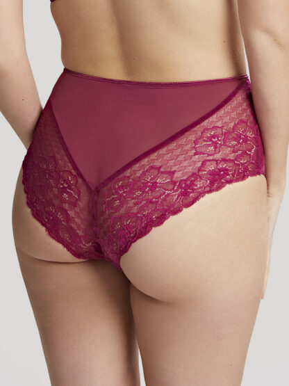 Panache Envy Deep Brief - Image 2