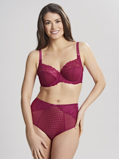 Panache Envy Deep Brief - Image 3