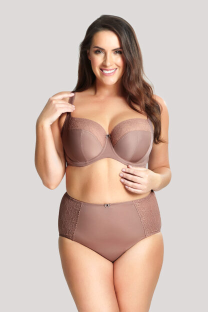 Panache Chi Chi High Waist Briefs - Image 3