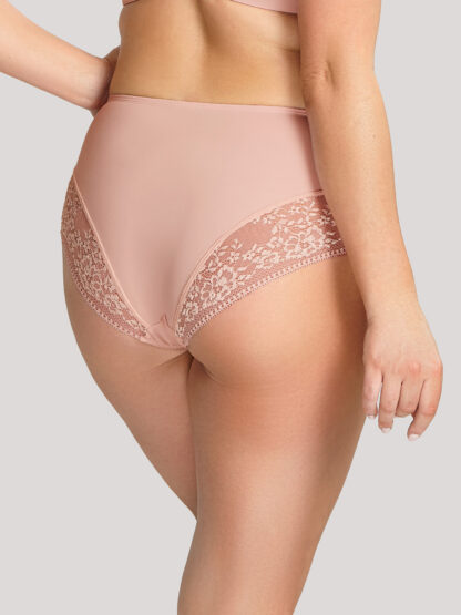 Panache Roxie High Waist Briefs - Image 2