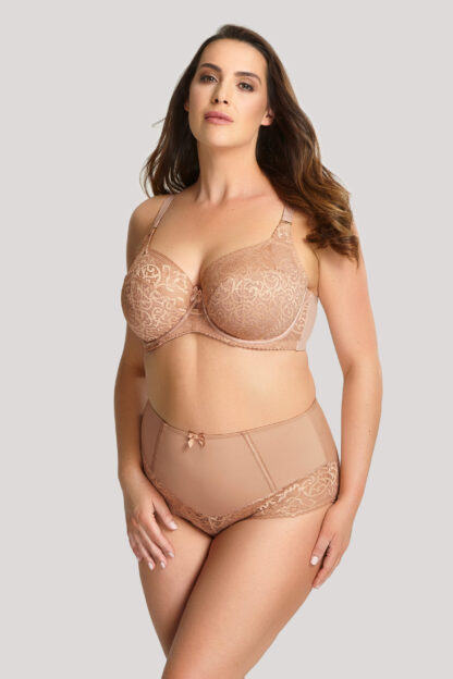 Panache Estel High Waist Briefs - Image 3