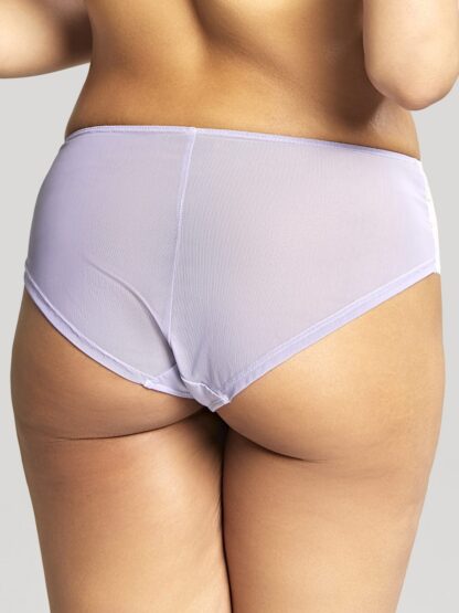 Panache Clara Briefs - Image 29