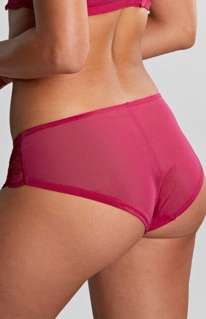 Panache Clara Briefs - Image 38
