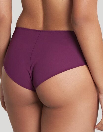 Panache Ana Briefs - Image 6