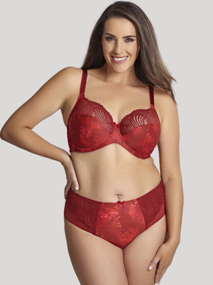 Panache Arianna Deep Briefs - Image 5
