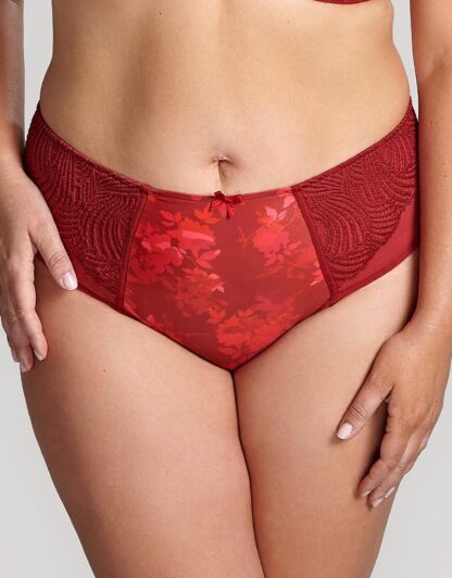 Panache Arianna Deep Briefs - Image 7