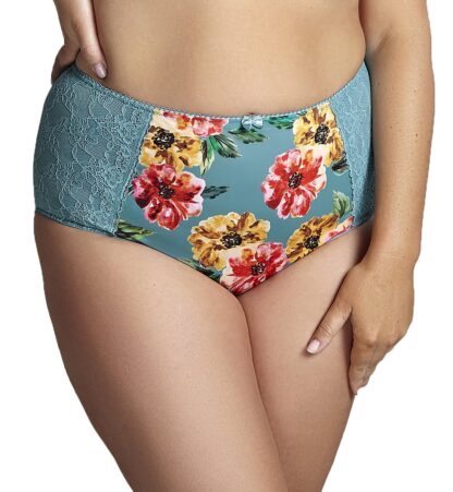 Panache Chi Chi High Waist Briefs - Image 8