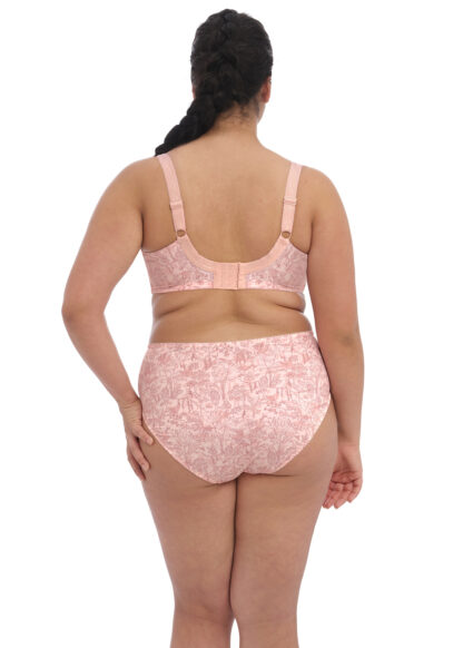 Elomi Mariella Briefs - Image 8