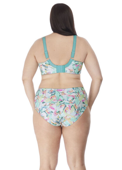 Elomi Mariella Briefs - Image 3