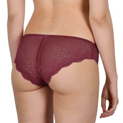 Cybèle Lace Brief 7-110173 - Image 2