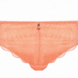 Cybèle Brief 11401