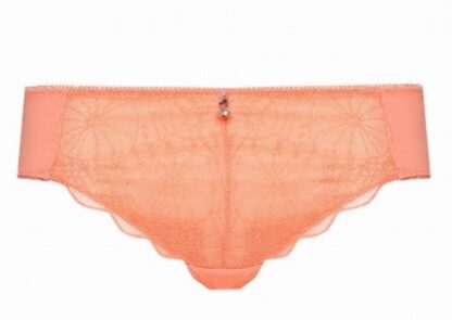 Cybèle Brief 11401