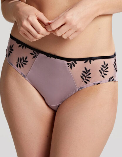 Panache Tango Brief - Image 6