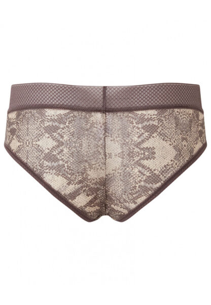 Gossard Glossies Short - Image 7
