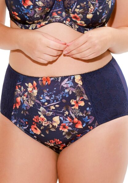Panache Chi Chi High Waist Briefs - Image 6