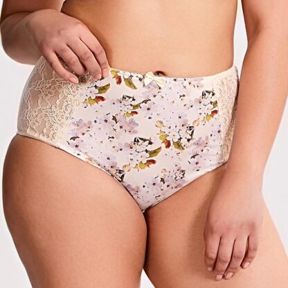 Panache Chi Chi High Waist Briefs - Image 7