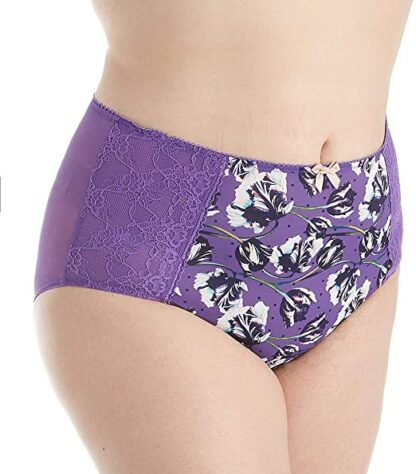 Panache Chi Chi High Waist Briefs - Image 4