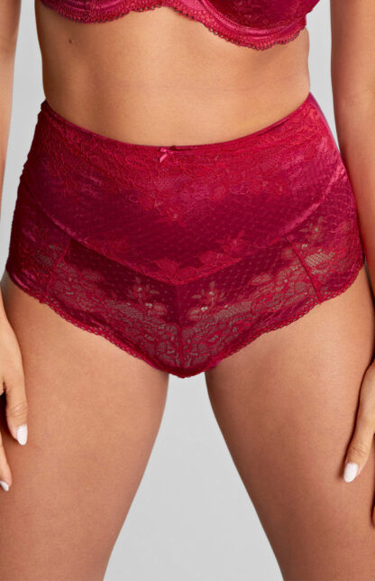 Panache Clara High Waist Briefs