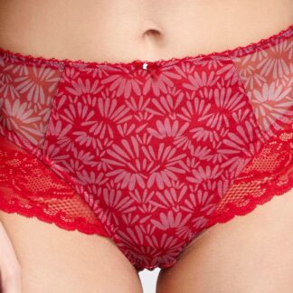 Panache Jasmine Deep Briefs