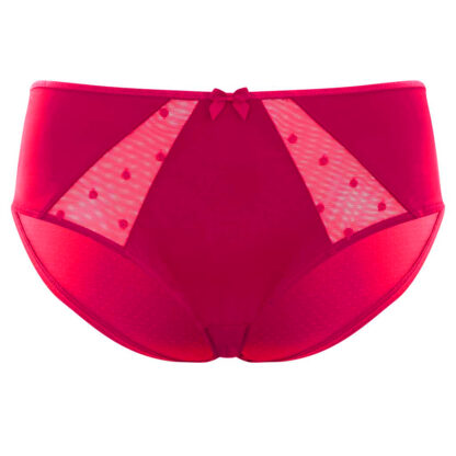 Panache Sculptresse Candi Full Brief - Image 3
