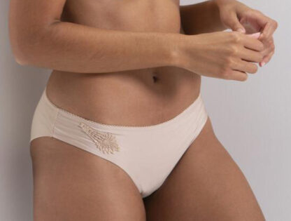 Charnos Applique Brief