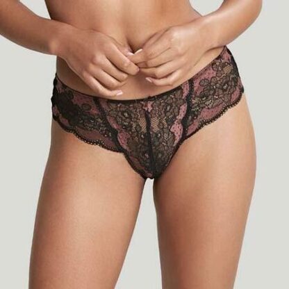 Panache Clara Briefs - Image 18
