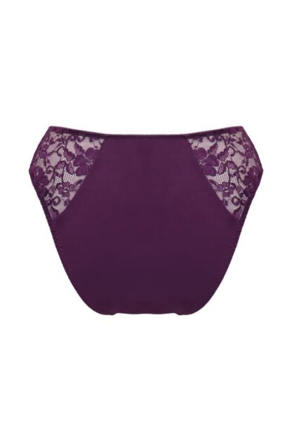 Pour Moi Rebel High Leg Brief - Image 14