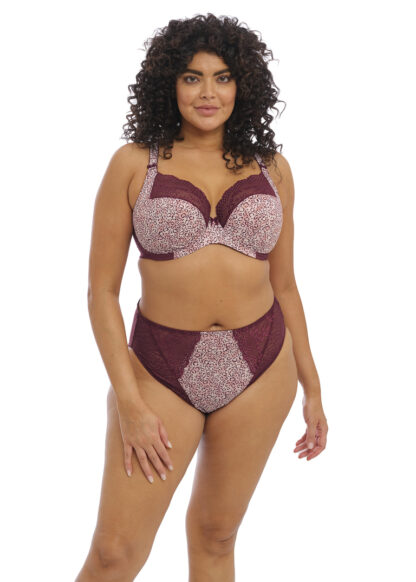 Elomi Lucie High Leg Brief - Image 11