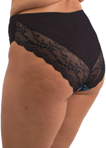 Elomi Lucie High Leg Brief - Image 23