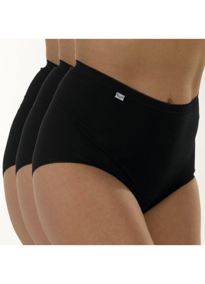 Marlon 3 Pack Maxi Briefs - Image 2