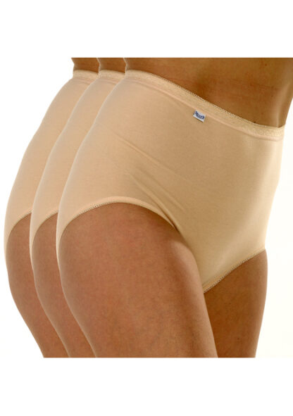 Marlon 3 Pack Maxi Briefs - Image 3