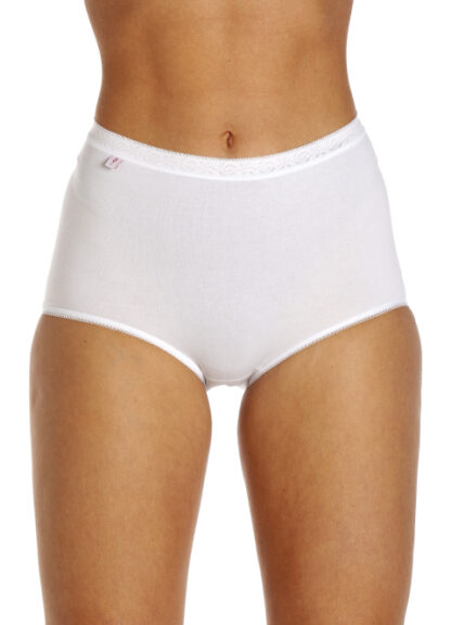 La Marquise Comforts 3 Pack Maxi Briefs