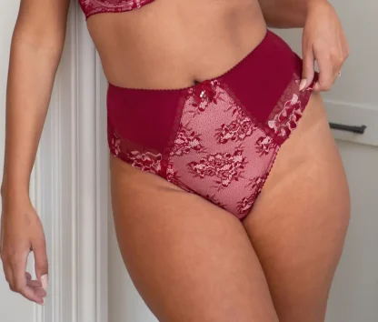Pour Moi Sofia Lace Embroidered Deep Brief - Image 11