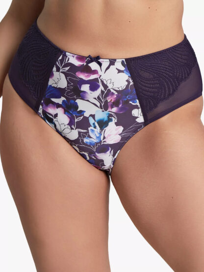 Panache Arianna Deep Briefs - Image 8