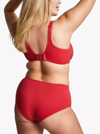 Panache Bliss Deep Briefs - Image 9
