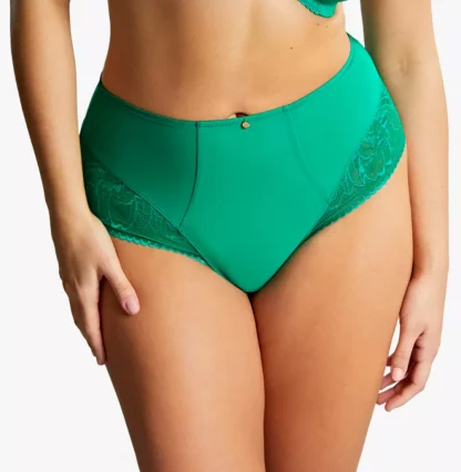 Panache Sculptresse Dream Deep Brief - Image 11