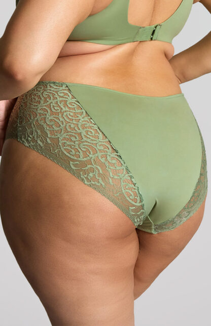Panache Sculptresse Estel Deep Briefs - Image 14