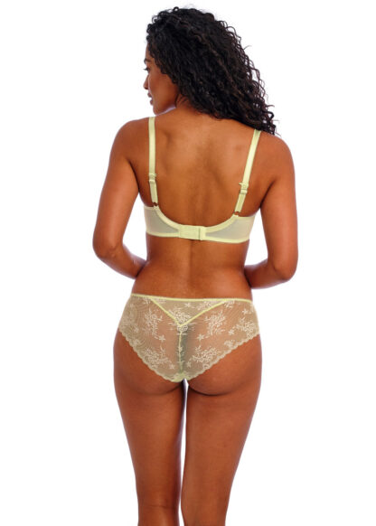 Freya Offbeat Decadence Brief - Image 3