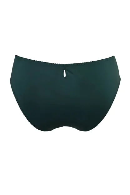Pour Moi Sofia Lace Embroidered Bikini Brief - Image 6