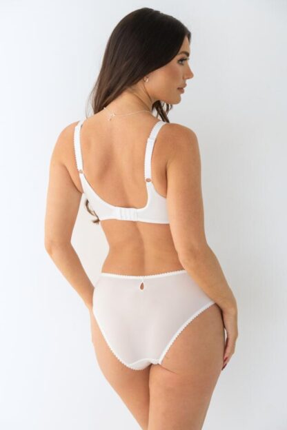 Pour Moi Sofia Lace Embroidered Bikini Brief - Image 15