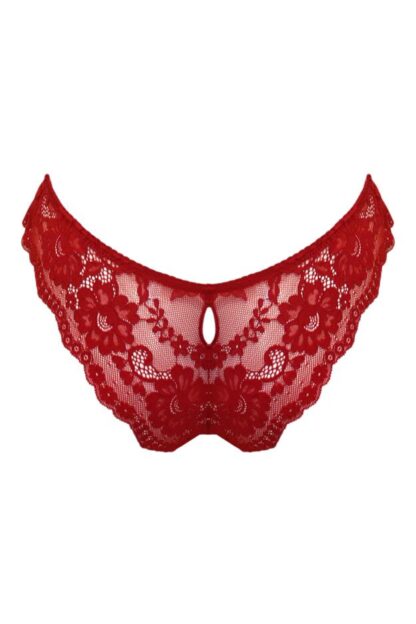 Pour Moi Fleur Cheeky V-Shaped Brief - Image 9