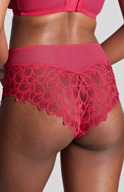 Panache Allure Deep Brief - Image 8