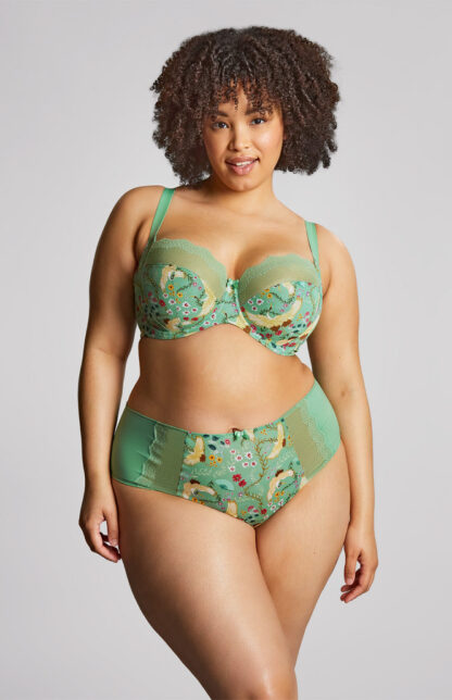 Panache Sculptresse Esme Deep Brief - Image 7