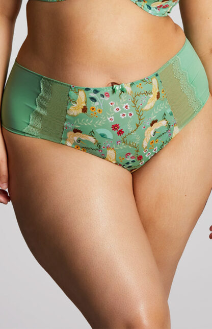 Panache Sculptresse Esme Deep Brief