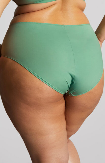 Panache Sculptresse Esme Deep Brief - Image 2