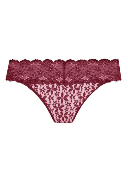 Wacoal Halo Lace Bikini Brief - Image 5