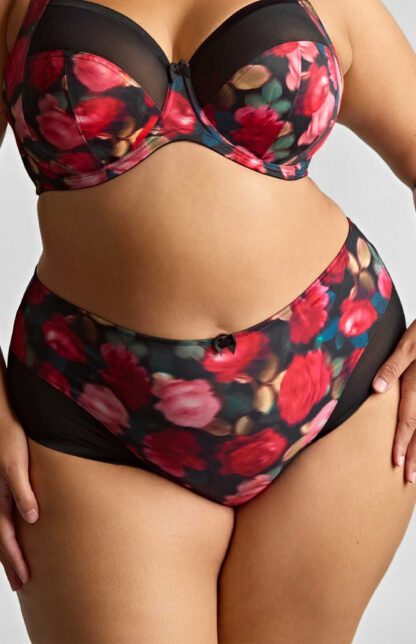 Panache Bliss Deep Briefs
