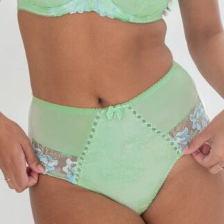 Pour Moi Sofia Lace Embroidered Deep Brief